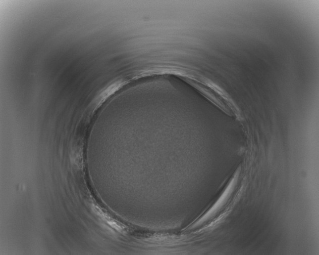 X0000081450977200701191709