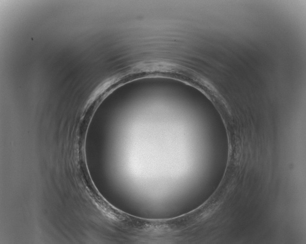 X0000081450978200701191709