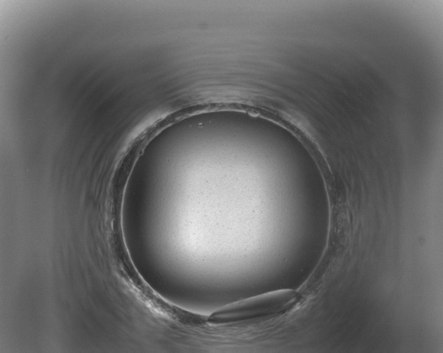 X0000081450979200701191709