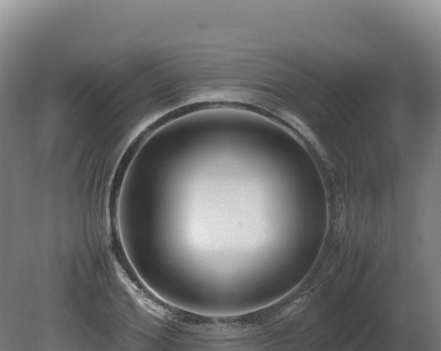 X0000081450980200701191709