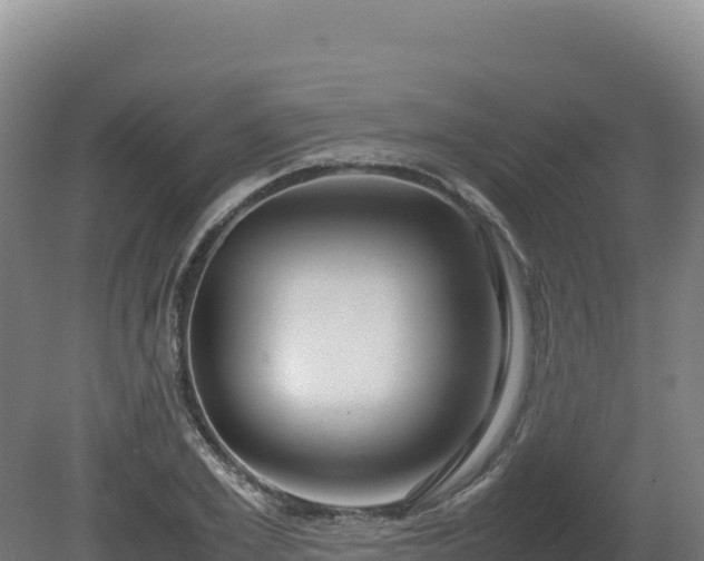 X0000081450981200701191709