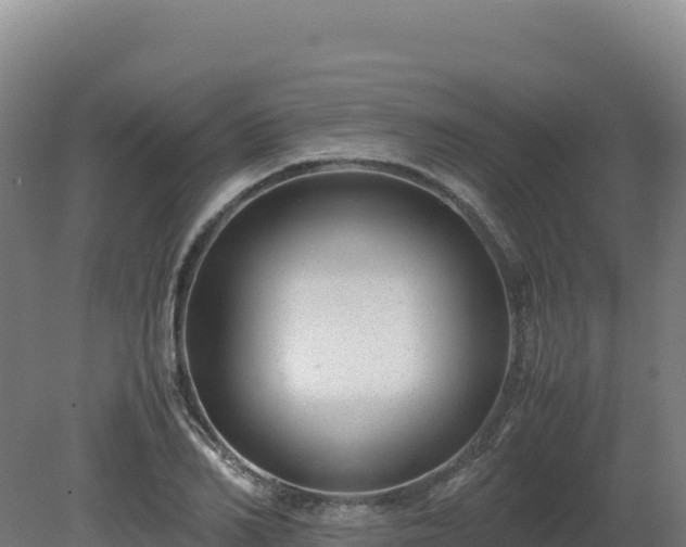 X0000081450982200701191709