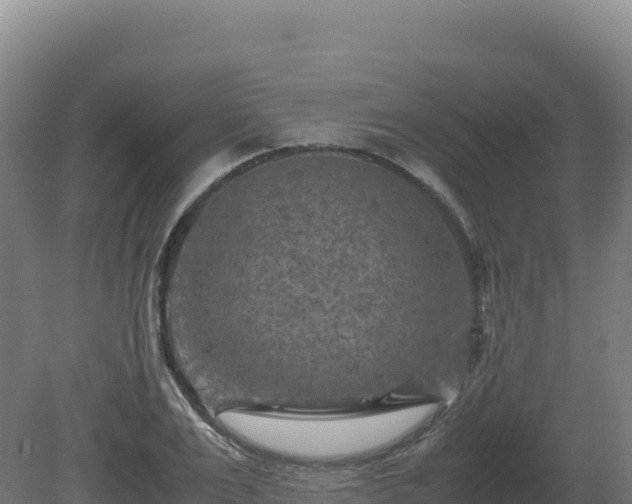 X0000081450983200701191709