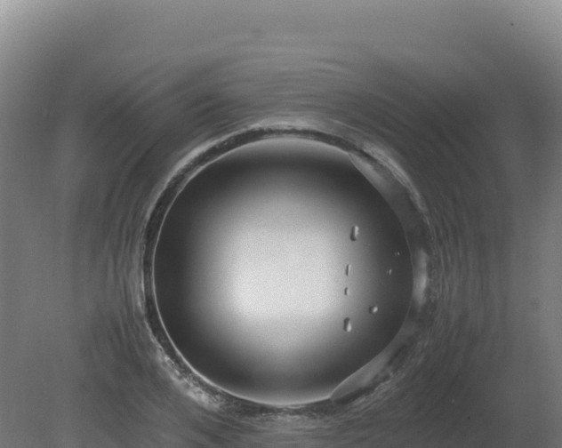 X0000081450984200701191709