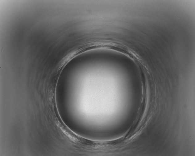 X0000081450985200701191709