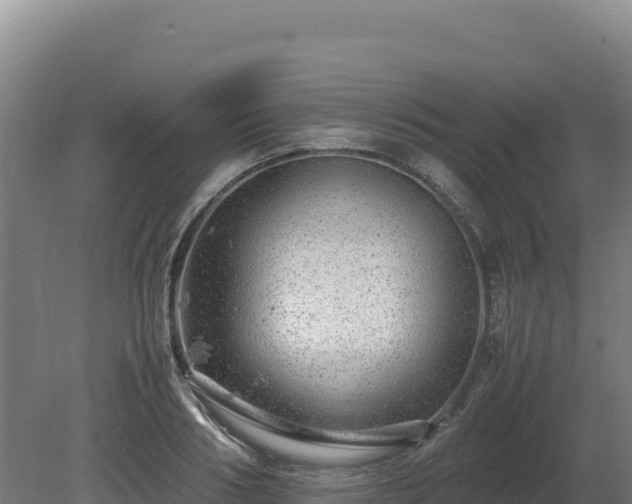 X0000081450986200701191709