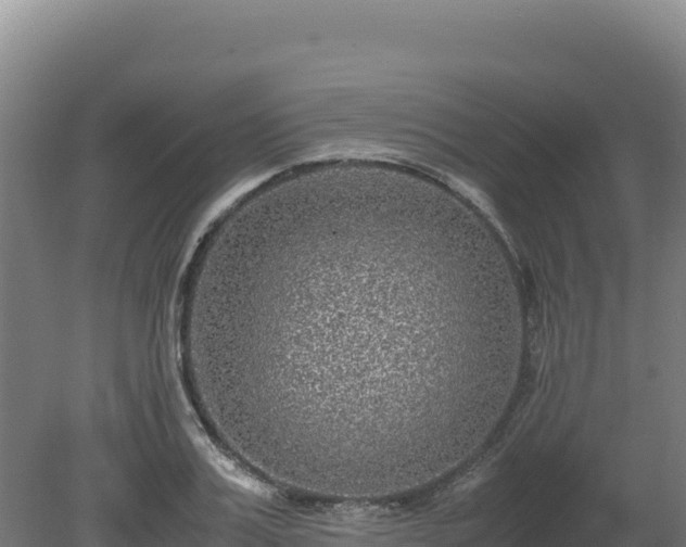 X0000081450987200701191709