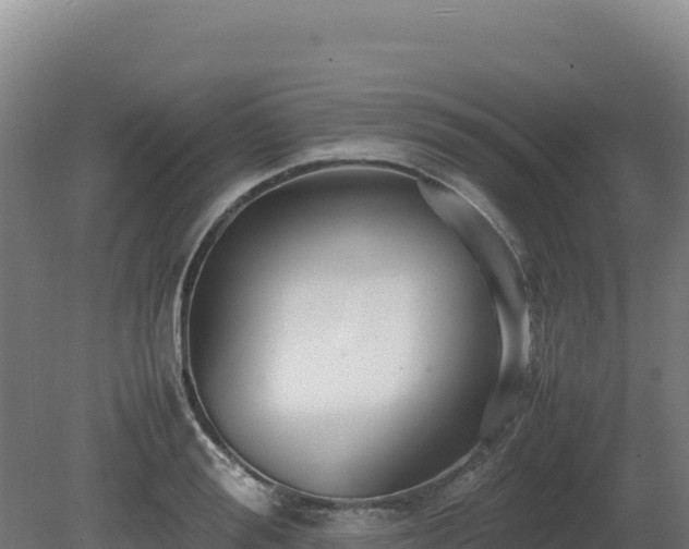 X0000081450988200701191709