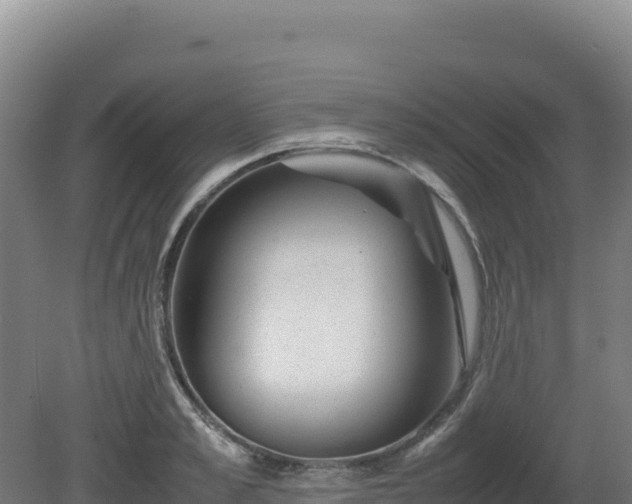 X0000081450989200701191709