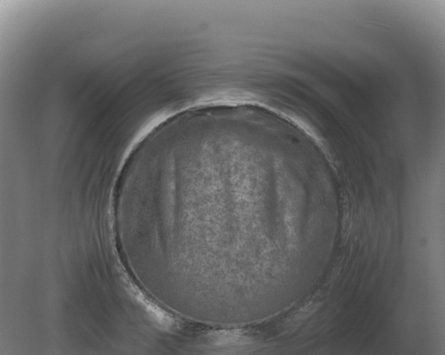 X0000081450990200701191709