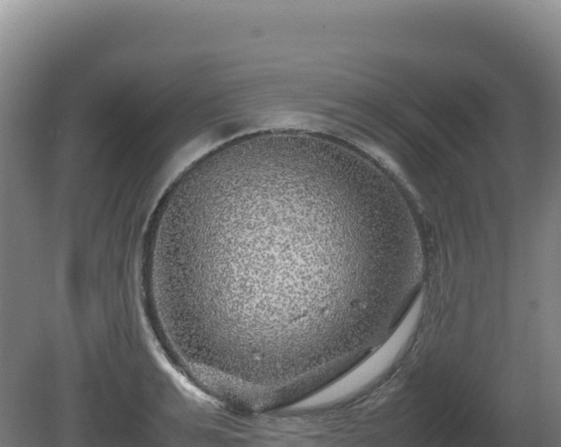 X0000081450991200701191709