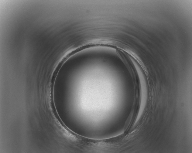 X0000081450992200701191709