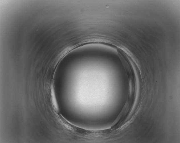 X0000081450993200701191709