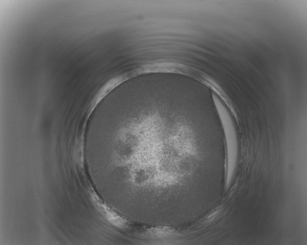 X0000081450994200701191709