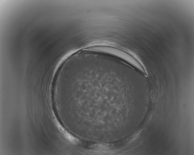 X0000081450995200701191709