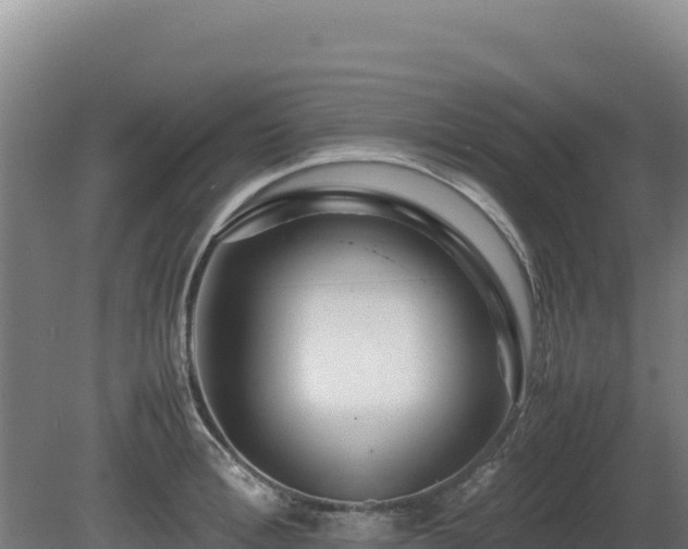 X0000081450996200701191709