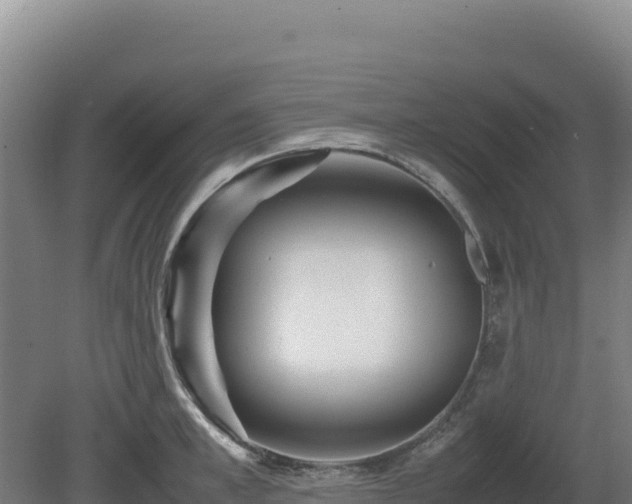 X0000081450997200701191709