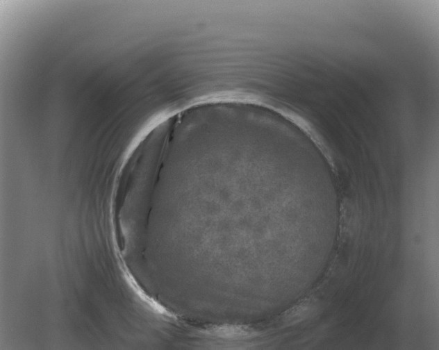 X0000081450998200701191709