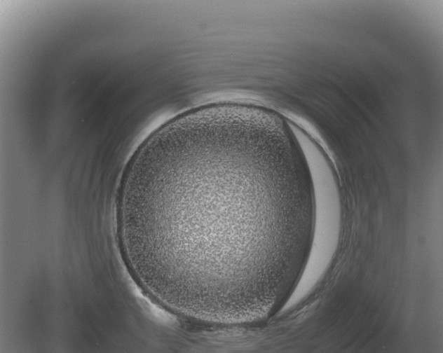 X0000081450999200701191709