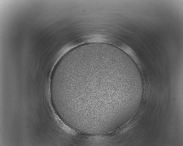 X0000081451000200701191709