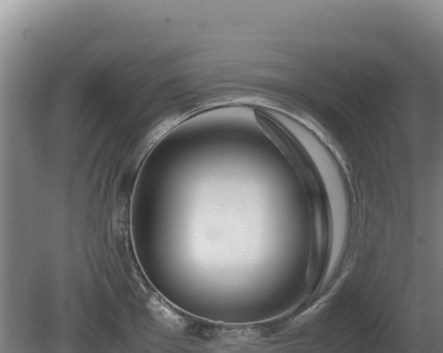 X0000081451001200701191709