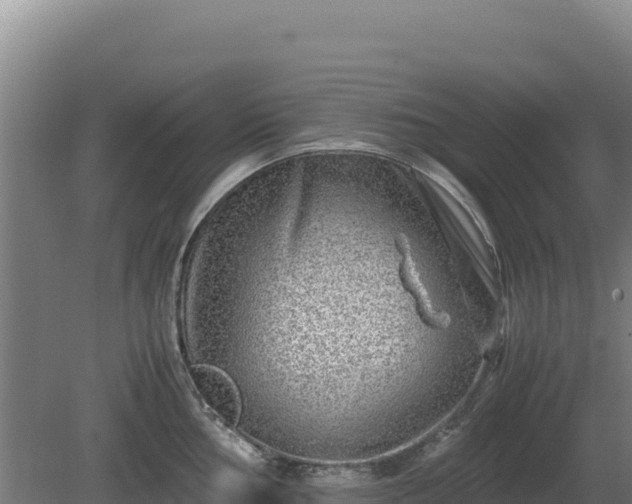 X0000081451002200701191709