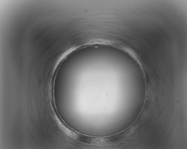 X0000081451003200701191709