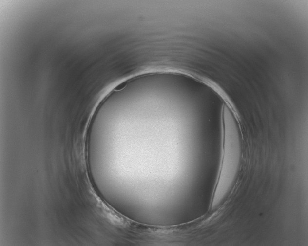 X0000081451004200701191709