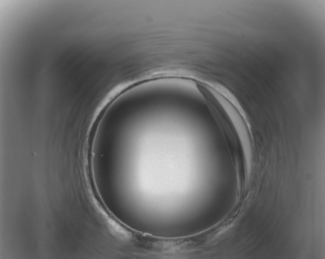 X0000081451005200701191709