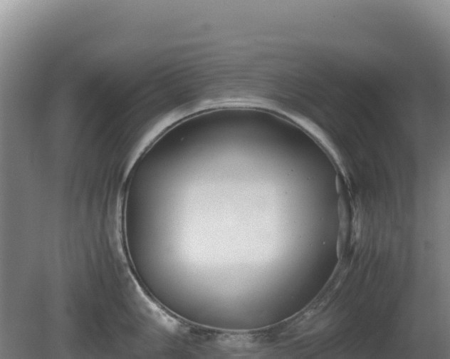 X0000081451006200701191709