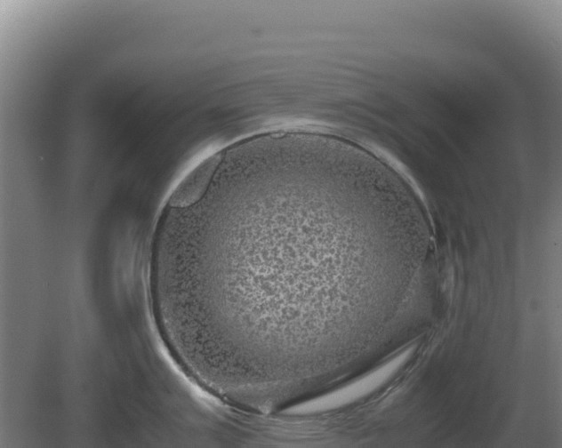 X0000081451007200701191709