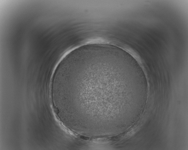 X0000081451008200701191709