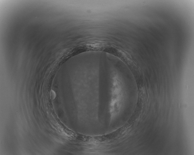 X0000081451009200701191708