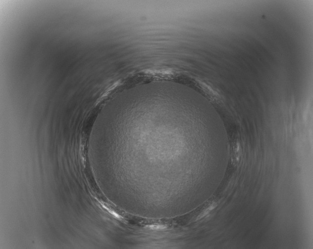 X0000081451010200701191708