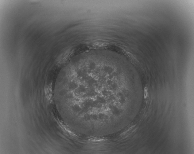 X0000081451011200701191708