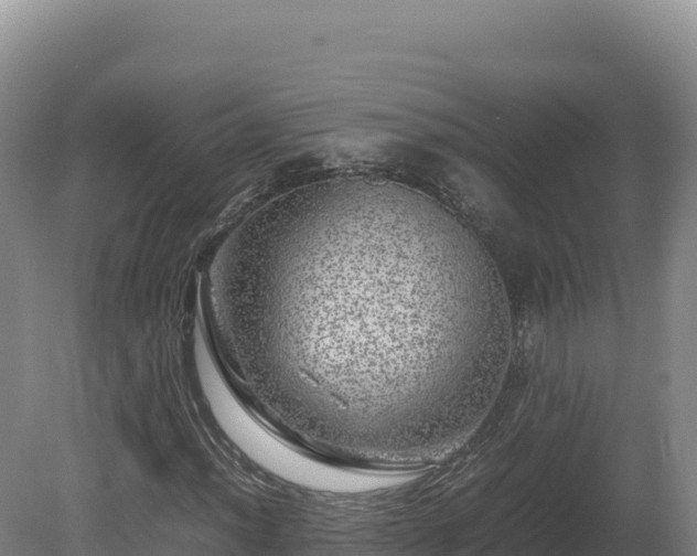 X0000081451012200701191708