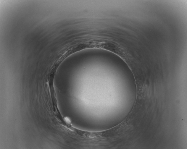 X0000081451013200701191708