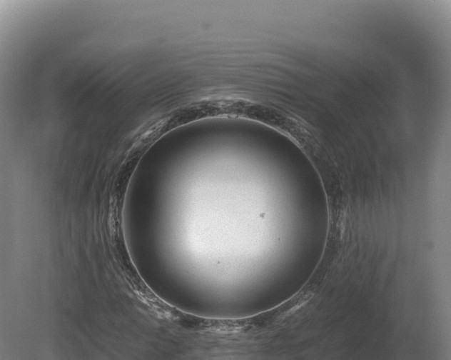 X0000081451014200701191708