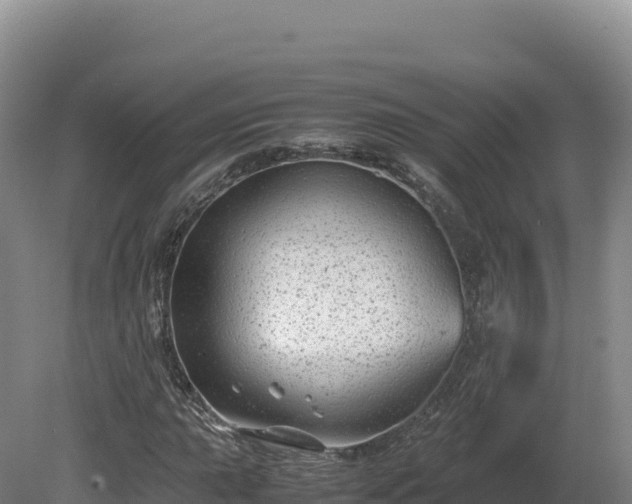 X0000081451015200701191708