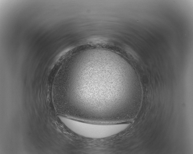 X0000081451016200701191708