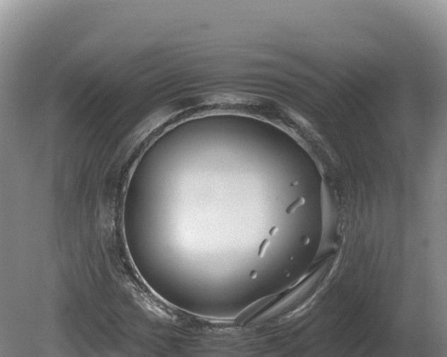 X0000081451017200701191708