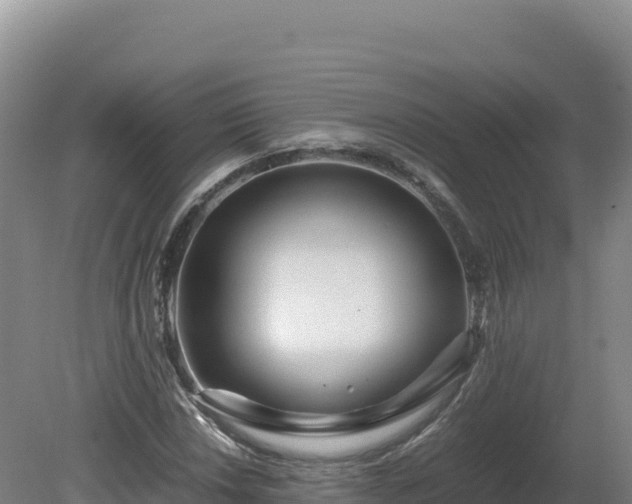 X0000081451018200701191708