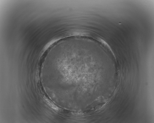 X0000081451019200701191708