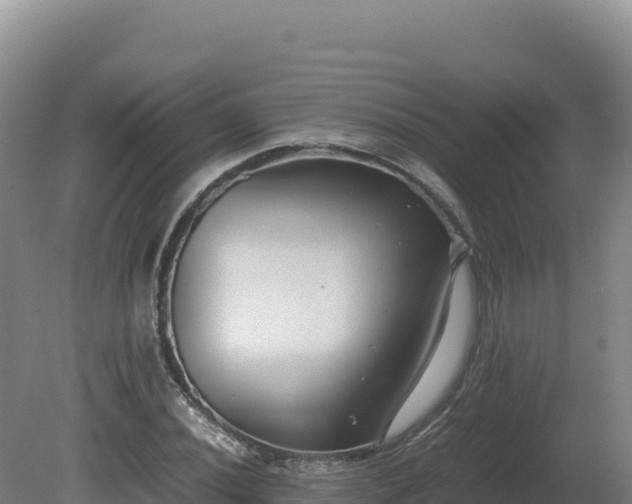 X0000081451020200701191708