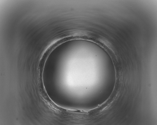 X0000081451021200701191708