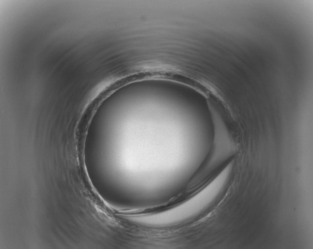 X0000081451022200701191708