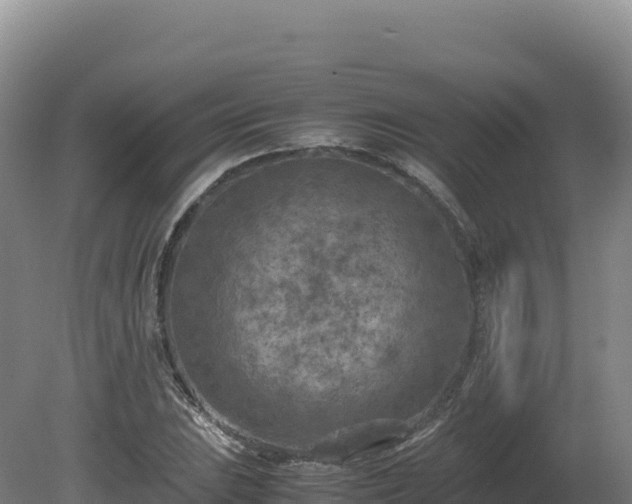 X0000081451023200701191708