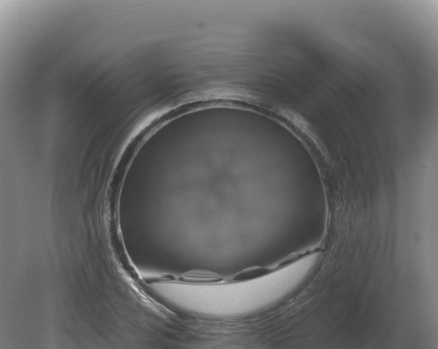 X0000081451024200701191708