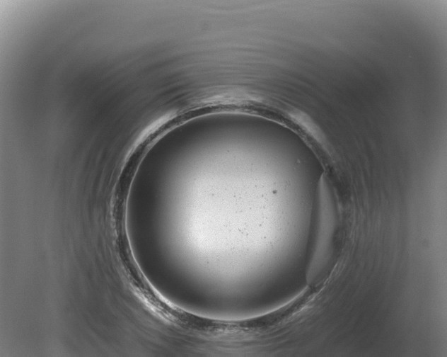 X0000081451026200701191708