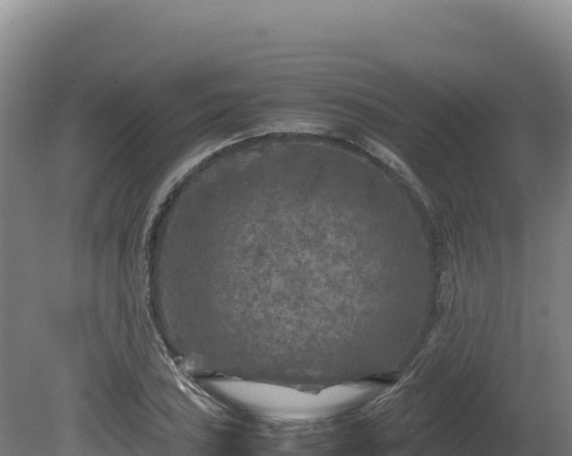 X0000081451027200701191708